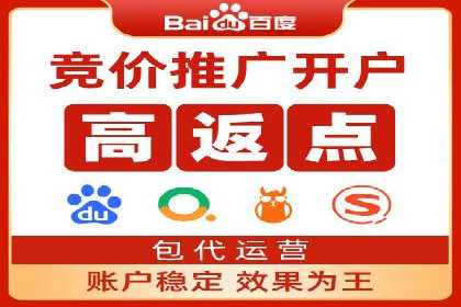 电商平台信息流广告的投放策略与效果评估案例